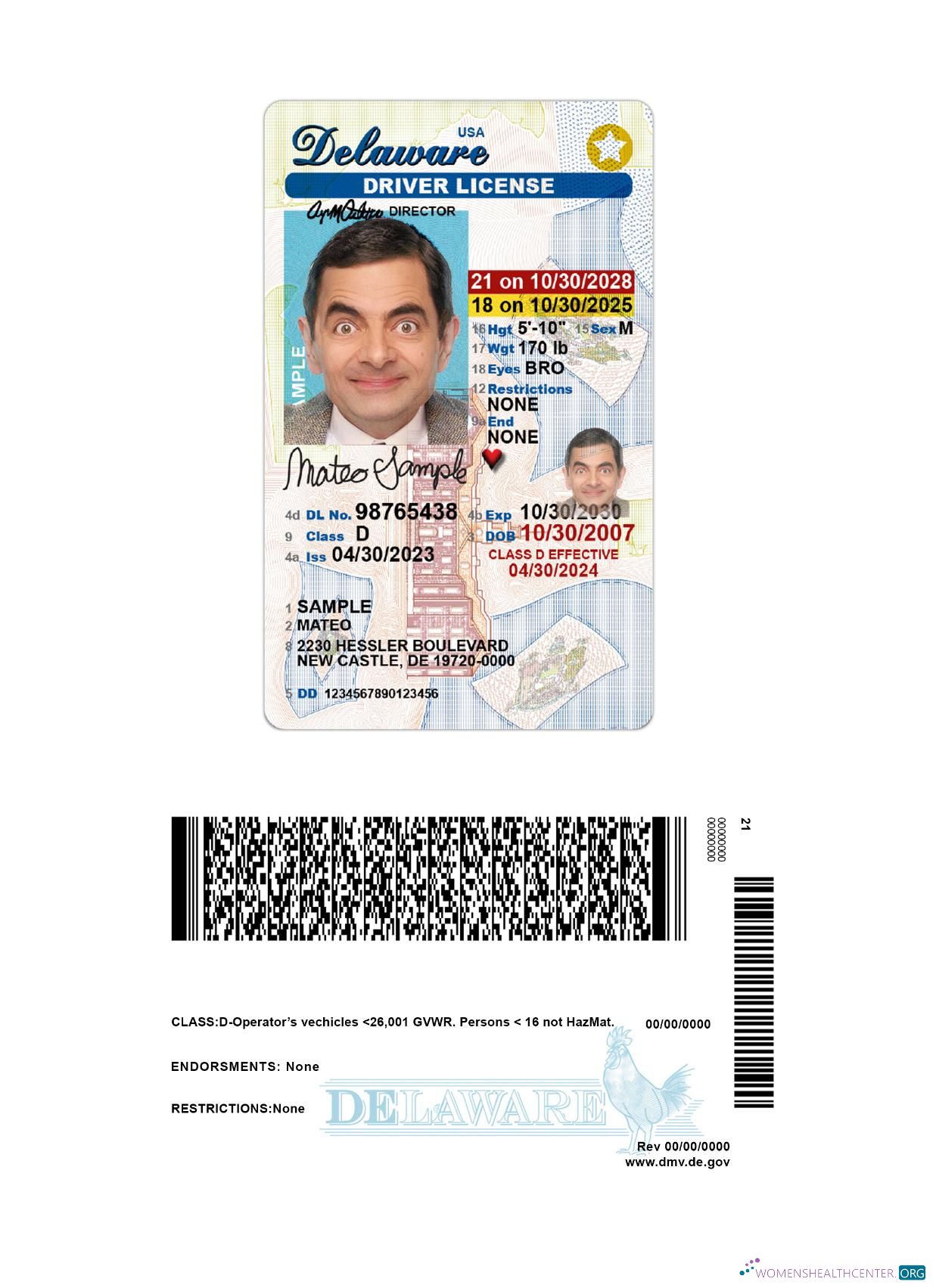 download USA Delaware under 21 driving license